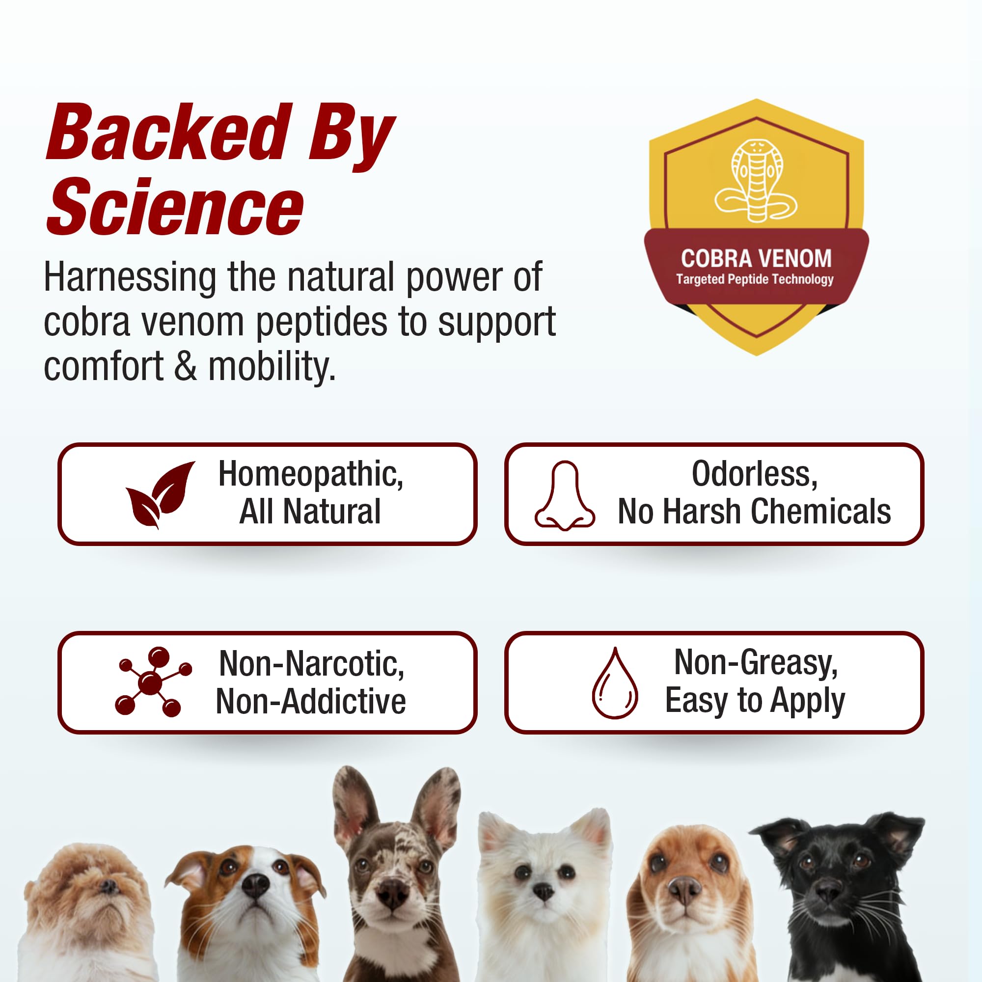 Pet Pain-Away hypoallergenic and non habit forming safety badge.