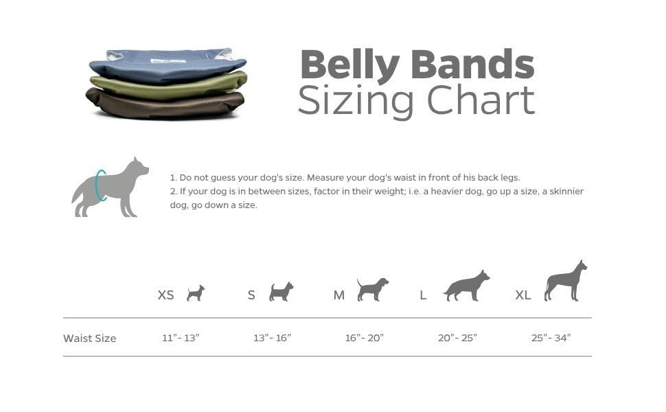 Three pack color variations from Pet Parents for easy rotation and laundry days.