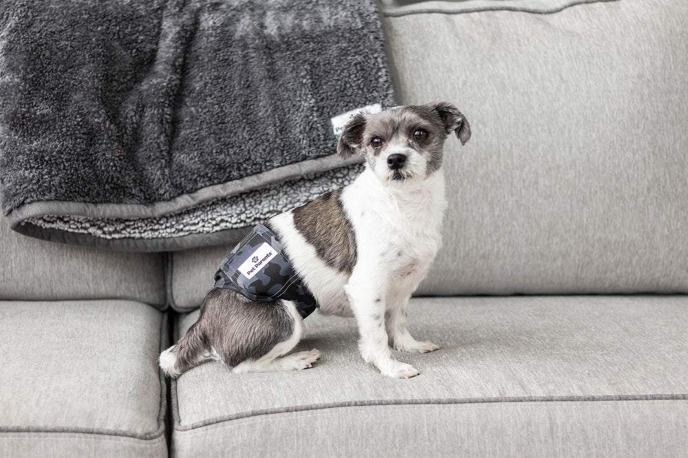 Three-pack from Pet Parents with black, rust, and grey belly bands.