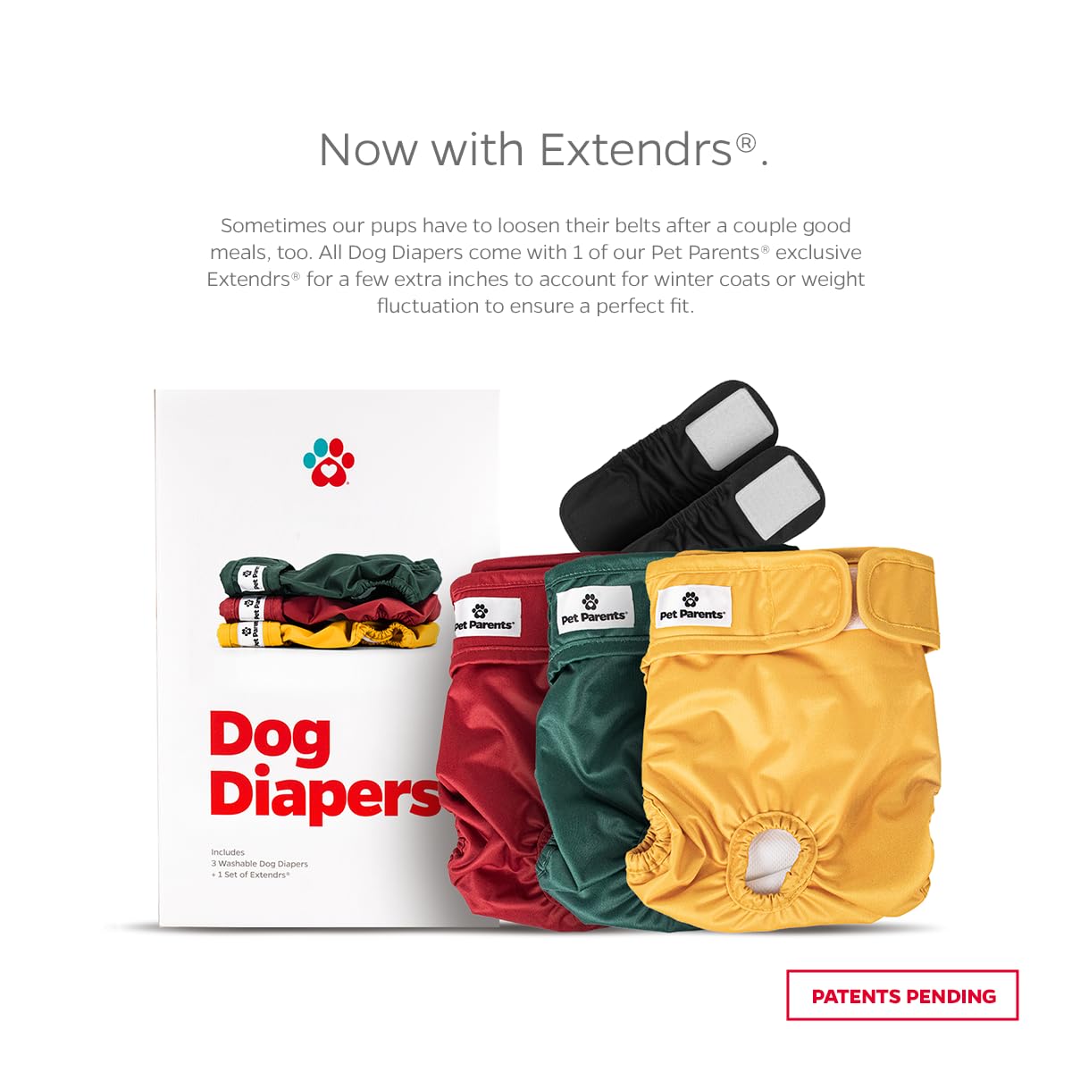 Extendrs extension strap shown for a secure, flexible fit with pets.