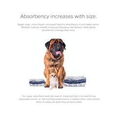 Pet Parents Extendrs close-up shows extra inch for better fit.