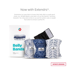 Extendrs added to improve fit and prevent leaks on a larger dog.