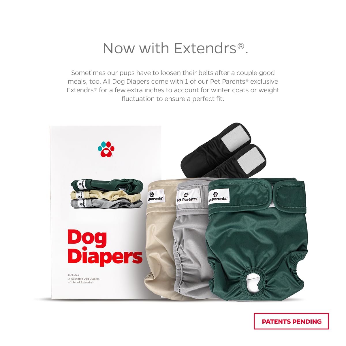 Pet Parents Extendrs close-up showing adjustable, secure fit