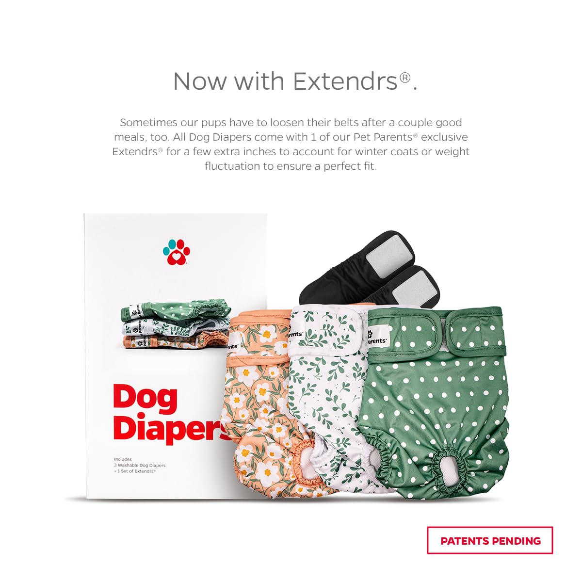 Pet Parents Extendrs close-up demonstrating extra inch for fit