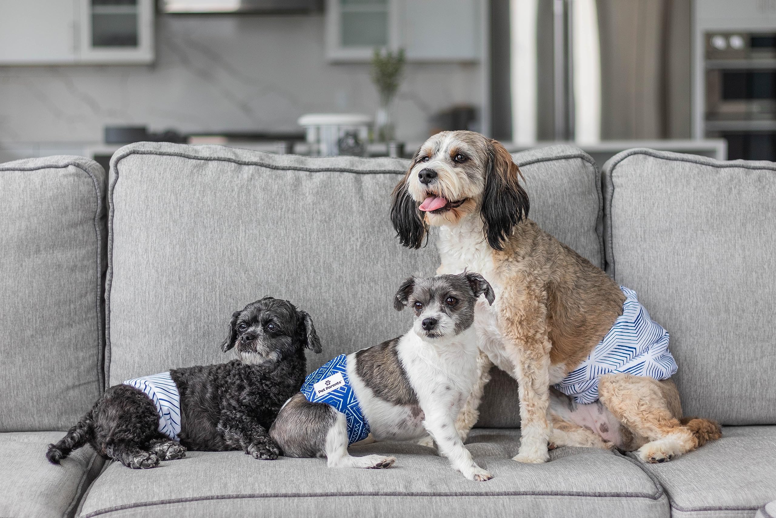 Extendrs exclusive feature from Pet Parents for a better fit.