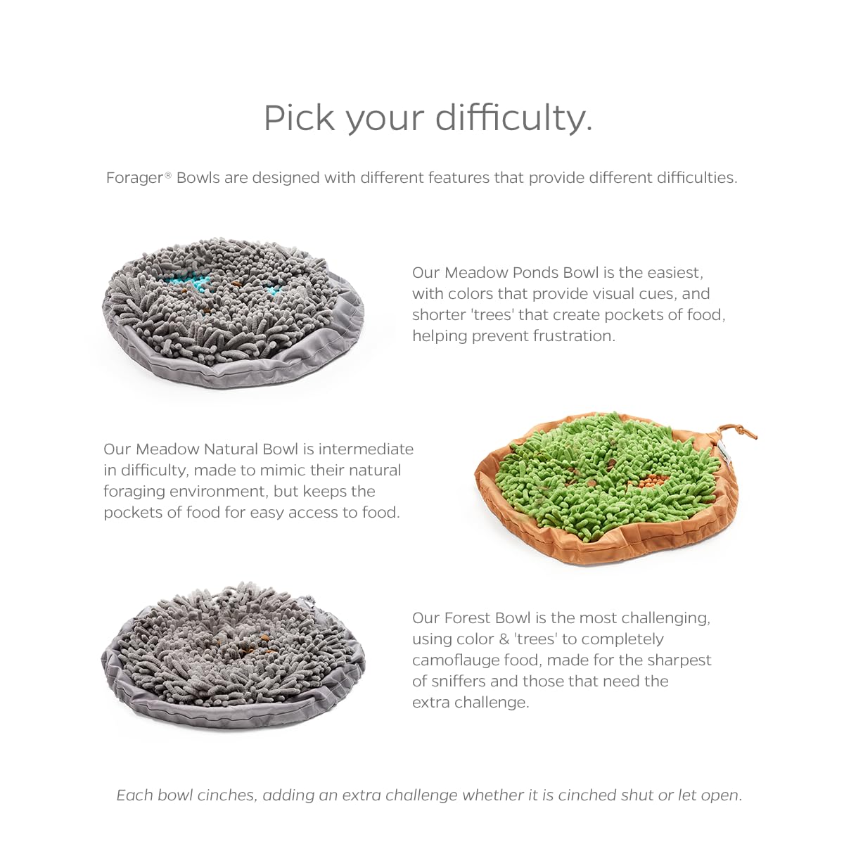 Pet Parents Forager Bowl on a dog sniffing to access bites