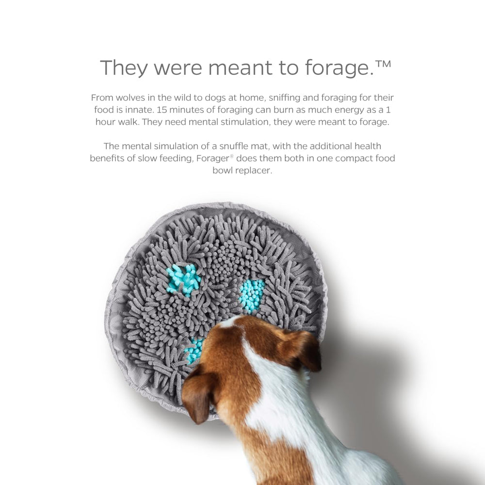 Pet Parents Forager Bowl foraging-action image highlights mental enrichment during feeding.