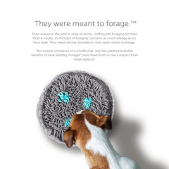 Pet Parents Forager Bowl foraging-action image highlights mental enrichment during feeding.