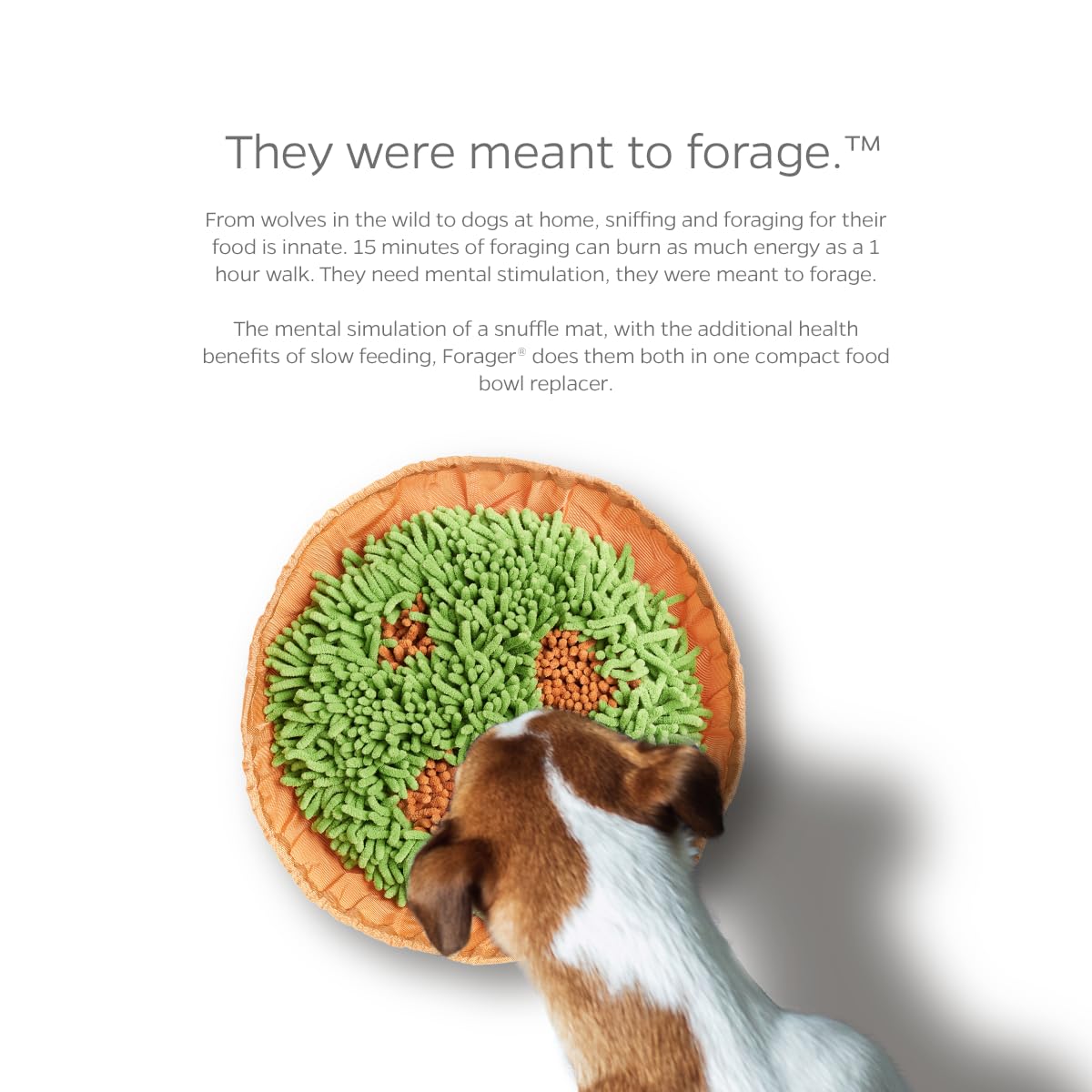 Pet Parents Forager Bowl travel pocket demonstrated for trips