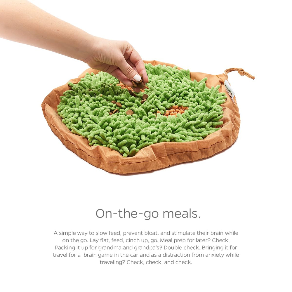 Pet Parents Forager Bowl visual enrichment encourages foraging play