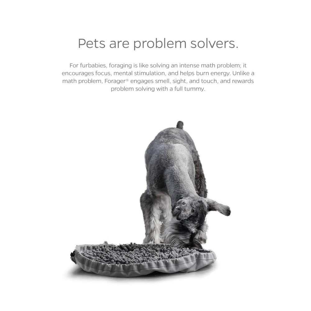 Pet Parents Forager Bowls forest grey color adds modern home appeal