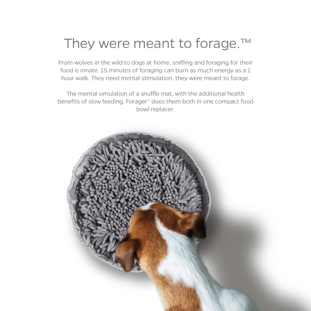 Pet Parents Forager Bowls snuffle mat design encourages sniffing and slow eating