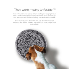 Pet Parents Forager Bowls snuffle mat design encourages sniffing and slow eating