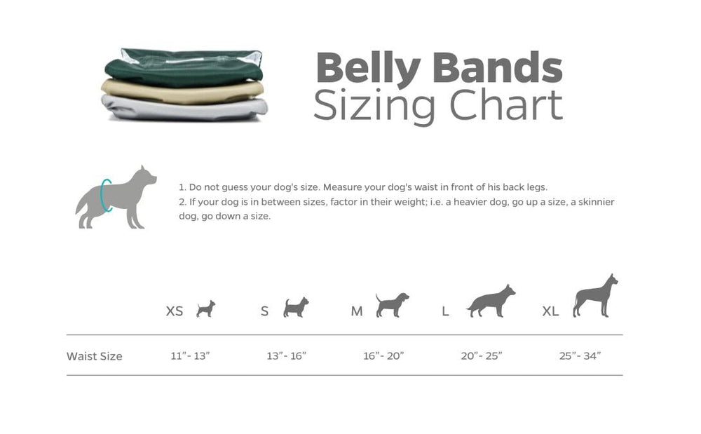 Pet Parents fur-safe hook-and-loop closures offer quick, gentle securing.