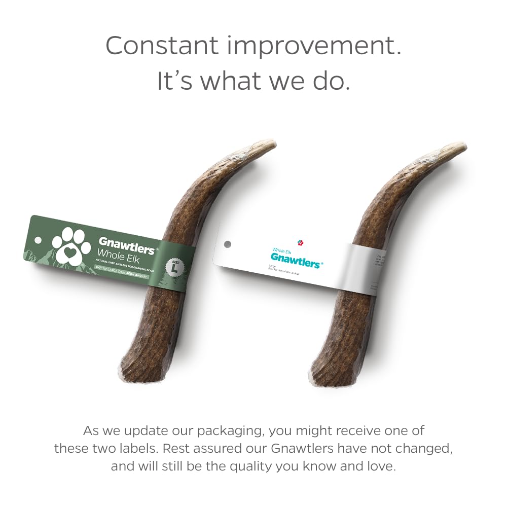 Pet Parents Gnawtlers dental health support during chewing.