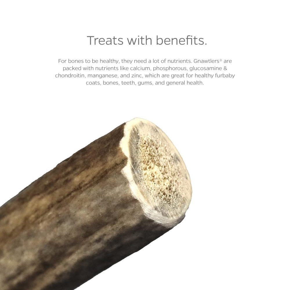 High-density surface on Gnawtlers signals lasting chew sessions for dogs.