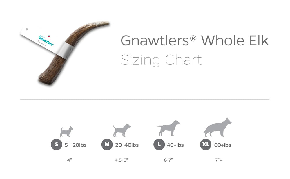 Natural tones of elk antler chew highlight unprocessed, all-natural ingredients.