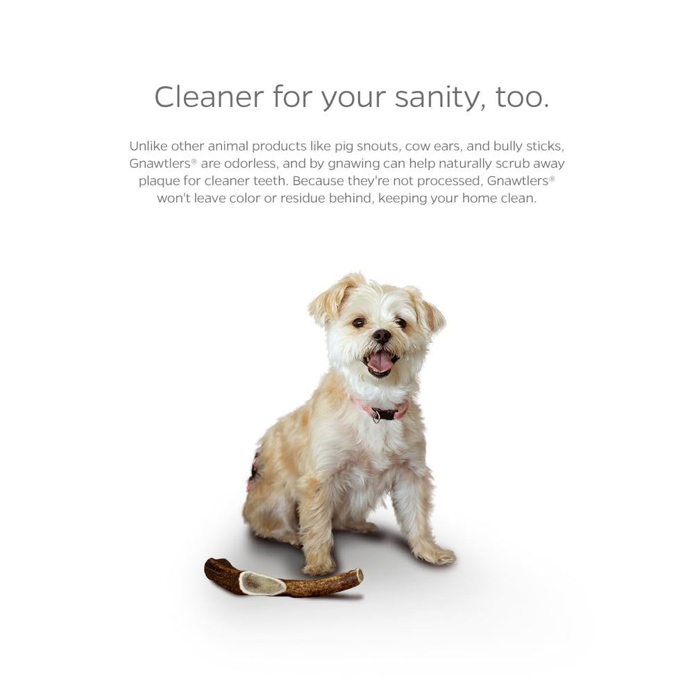 Pet Parents Gnawtlers handpicked Grade-A antler, premium chew quality.
