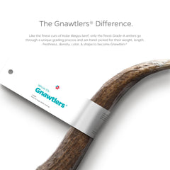 Pet Parents Gnawtlers six-to-seven-inch elk antler, ideal for strong chewers.