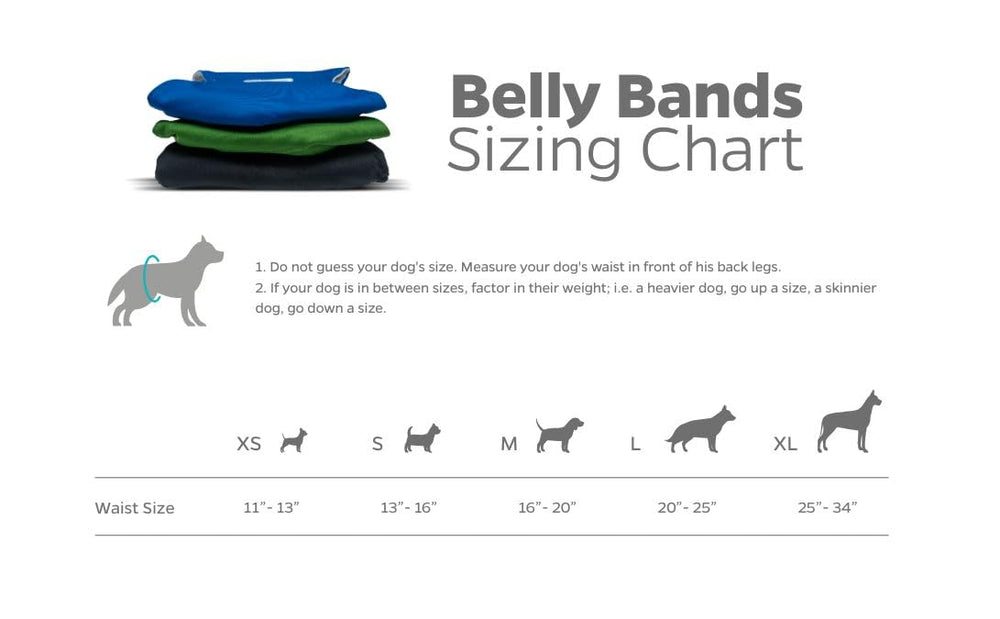 Pet Parents belly band with hook-and-loop closure for easy adjustment