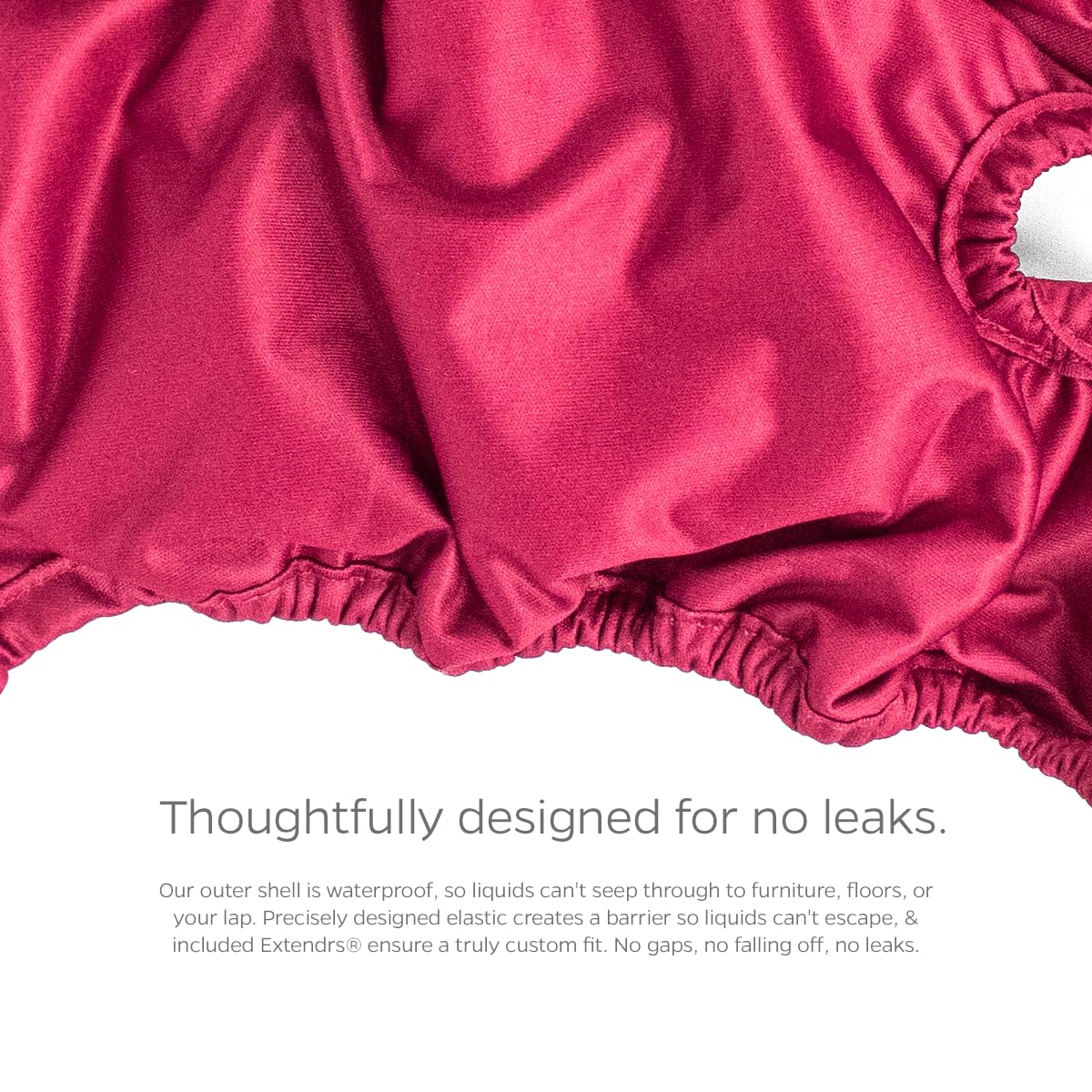 Pet Parents Leaks protection helps keep home surfaces clean.
