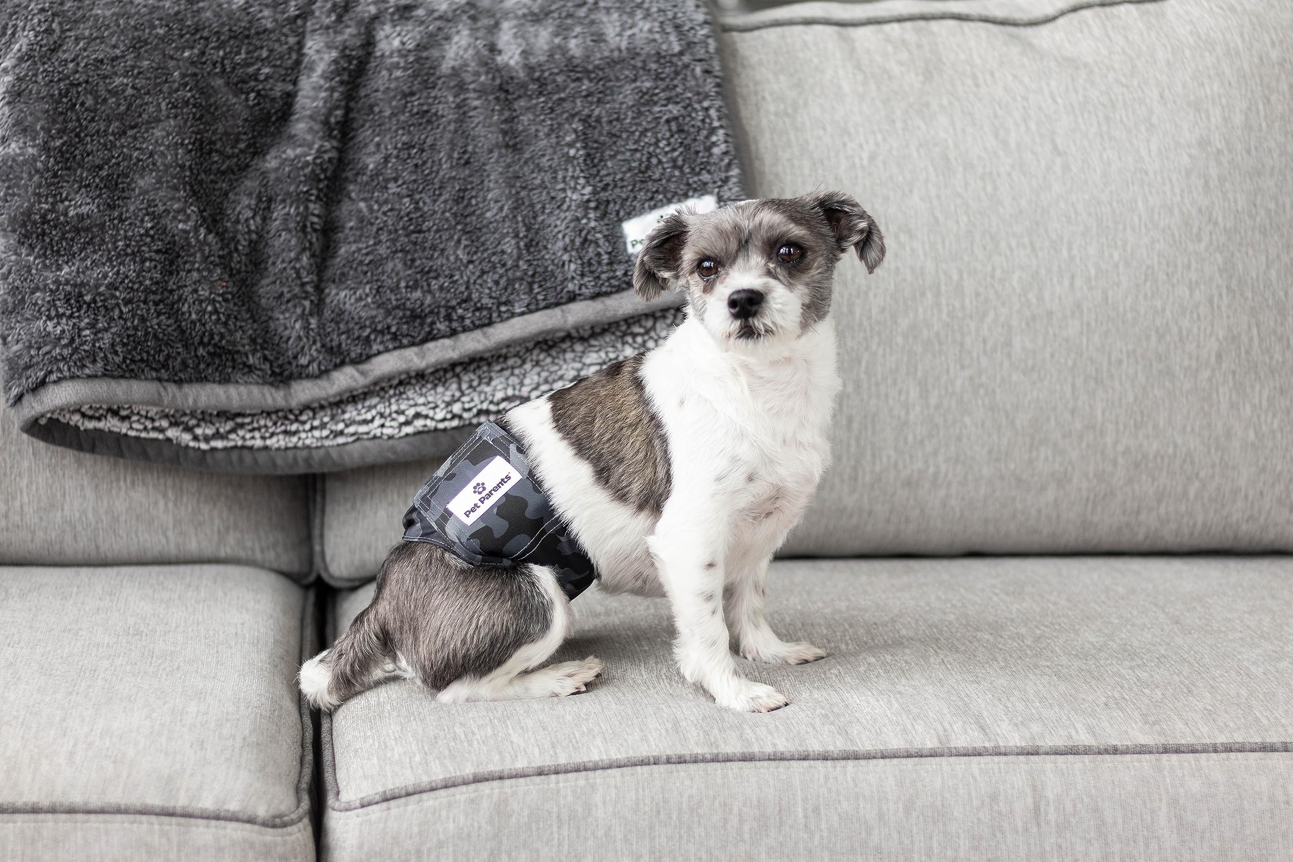 Three-pack Pet Parents dog diapers ready for everyday wear and quick changes.