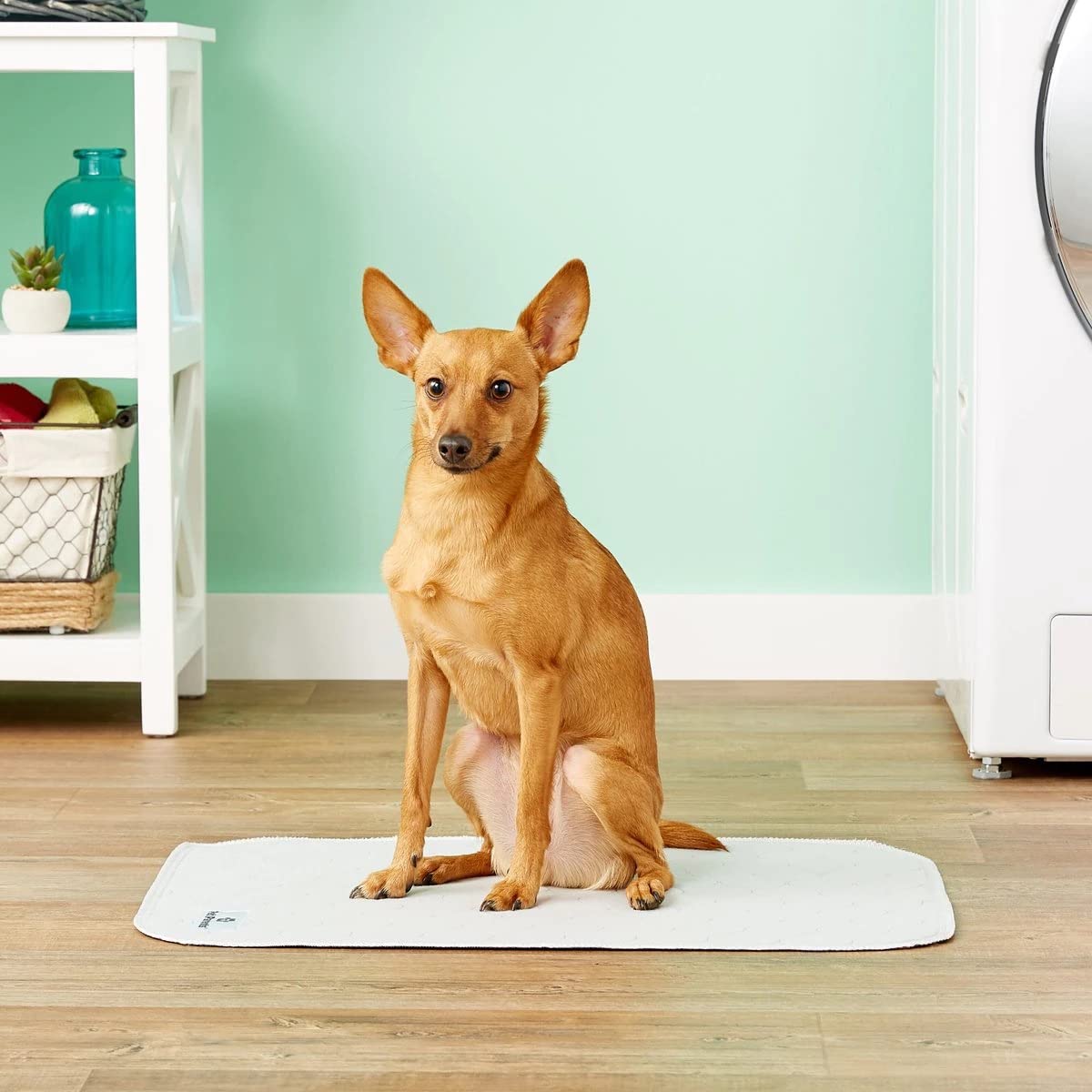 Pet Parents Pawtect Pad two-pack in tan and grey blends with home decor.