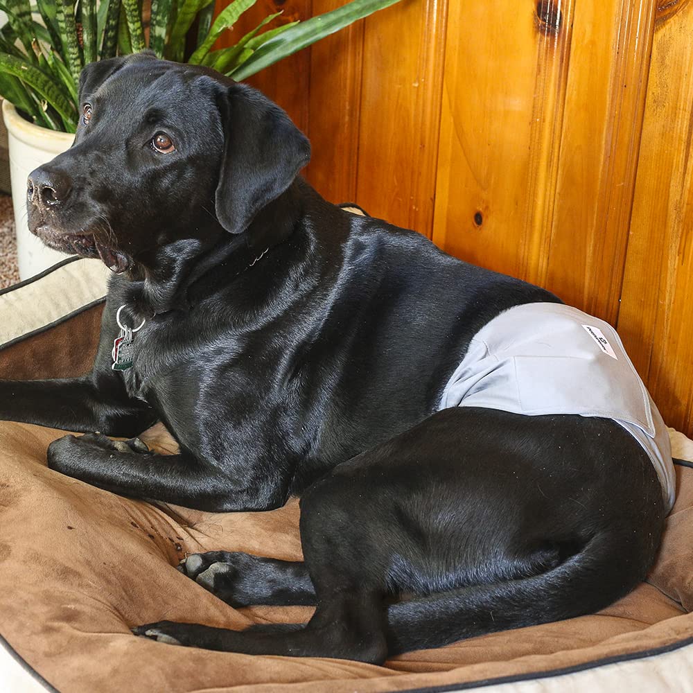 Pet Parents Extendrs help the diaper stay in place for varying weights.