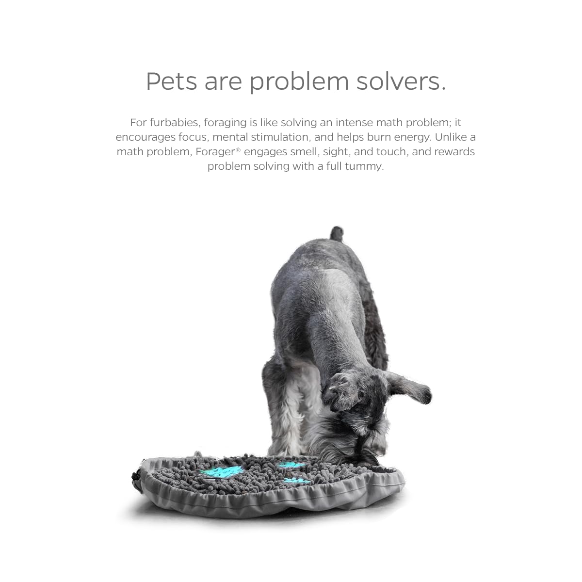 Pet Parents SoftSnout detail emphasizes gentle contact during sniffing play.