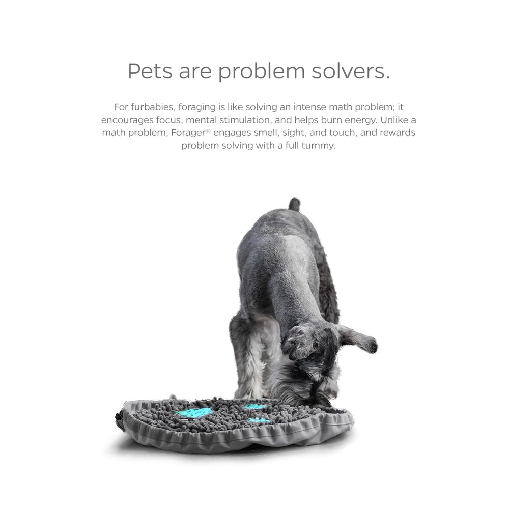 Pet Parents SoftSnout detail emphasizes gentle contact during sniffing play.