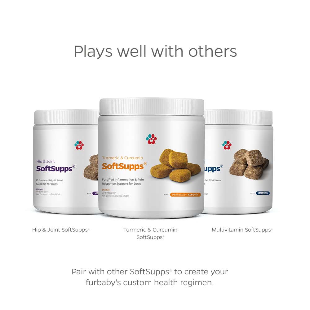 Happy dog and owner with Pet Parents Turmeric SoftSupps reflects trusted routine.