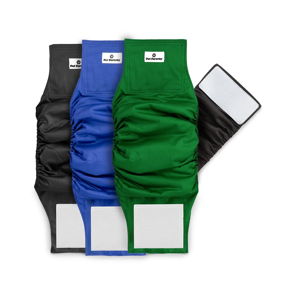 Pet Parents washable belly bands 3-pack on a puppy for training comfort.