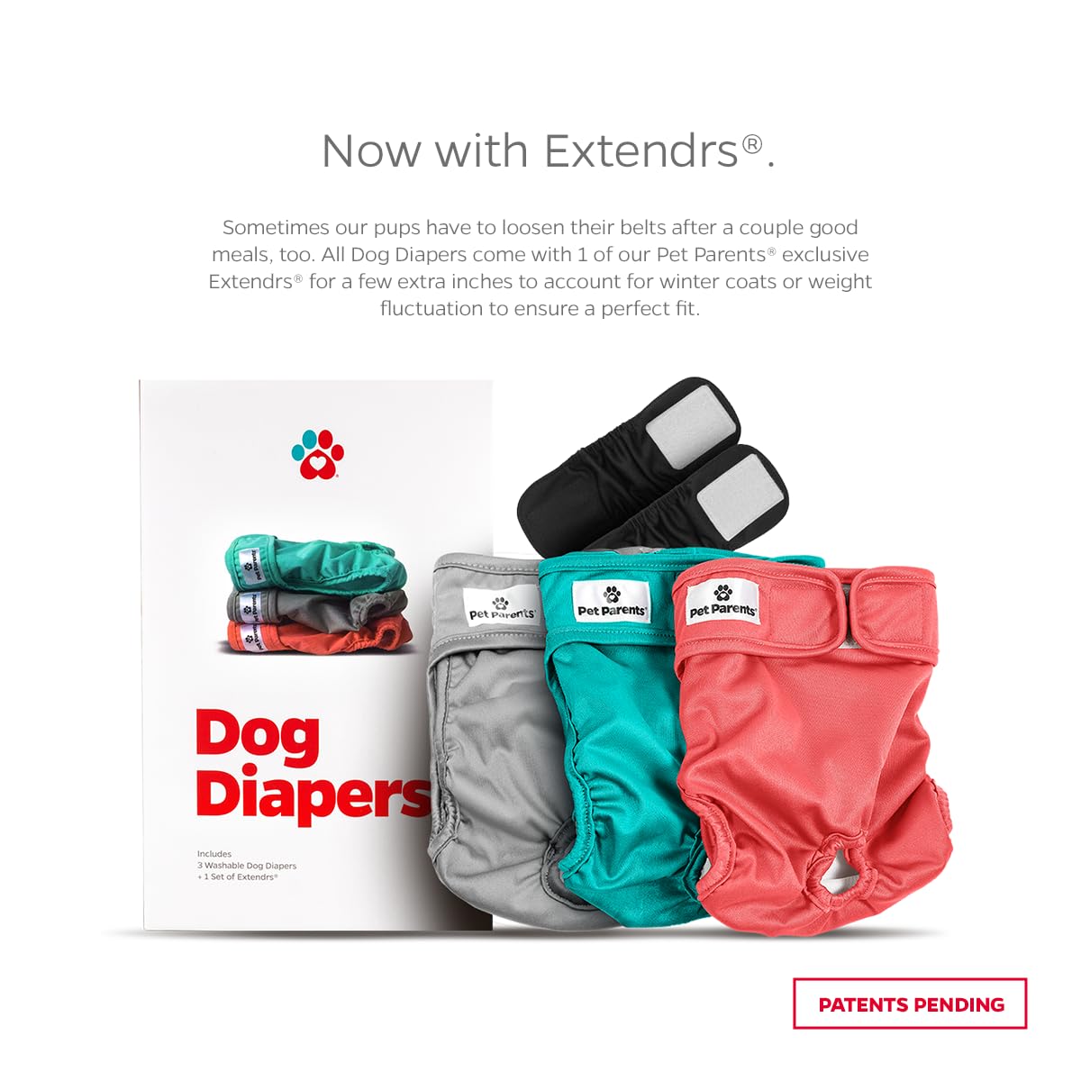 Pet Parents dog wearing diaper during play for secure, comfortable fit.