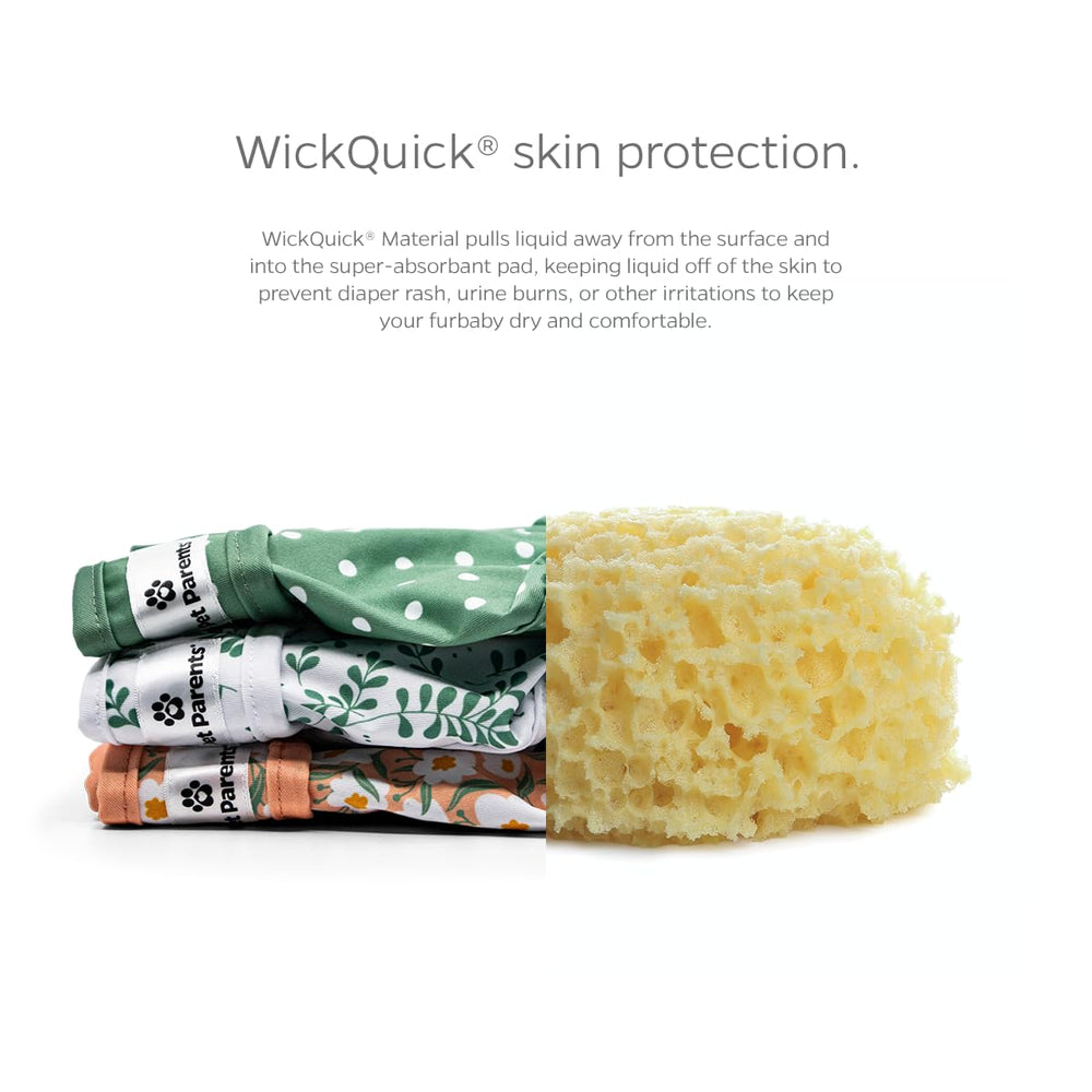 Pet Parents Velcro closure closeup demonstrates fast, fur-safe fit for everyday play.