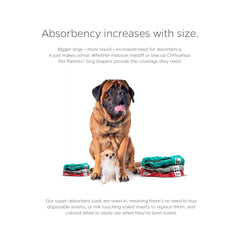 Velcro closures on Pet Parents diaper ensure quick, fur-safe securing.
