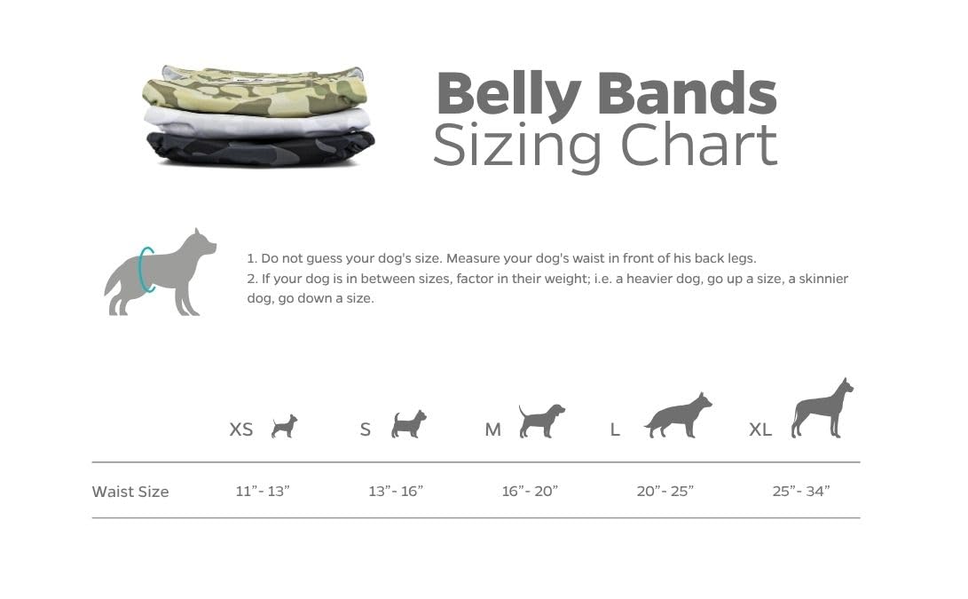 Waterproof outer layer of Pet Parents dog wrap protects furniture from accidents.