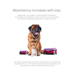 Pet Parents waterproof outer layer helps prevent leaks.