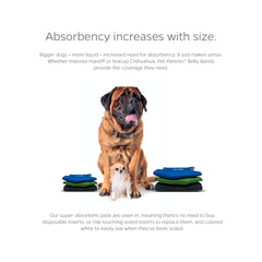 Pet Parents belly bands with waterproof outer layer protecting floors.