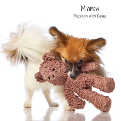Pet Passion coconut-fill dog toy with squeaker for interactive fetch sessions.