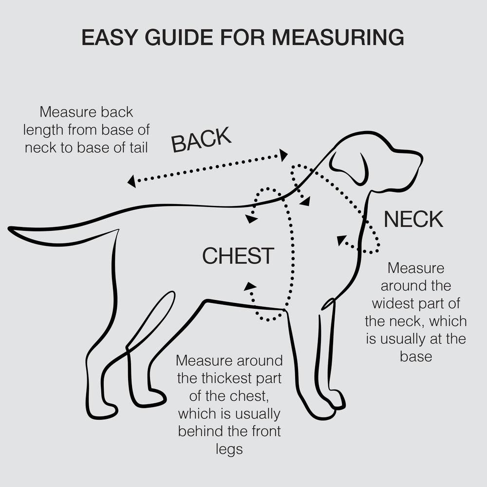 Pet Passion Toby easy-dressing neck opening aids quick outfit changes.