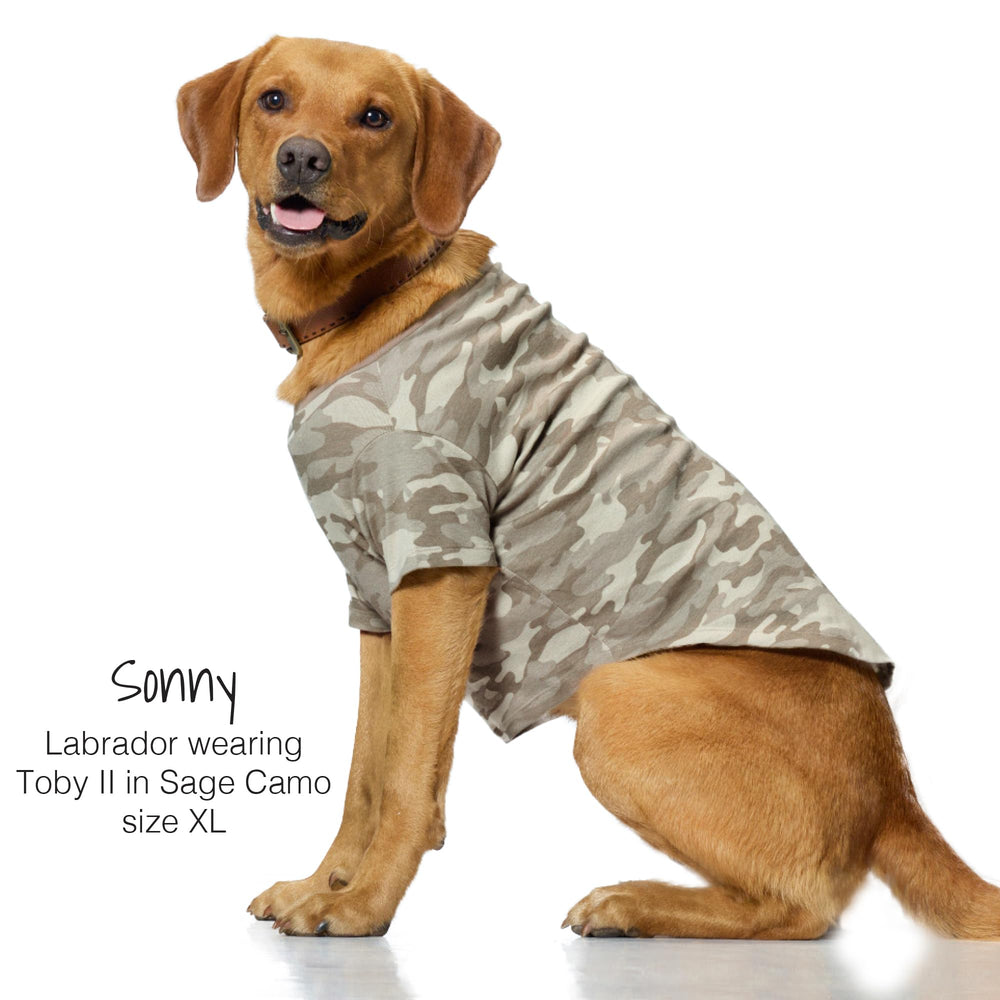 Pet Passion Toby II dog wearing T-shirt shows soft, breathable organic cotton.