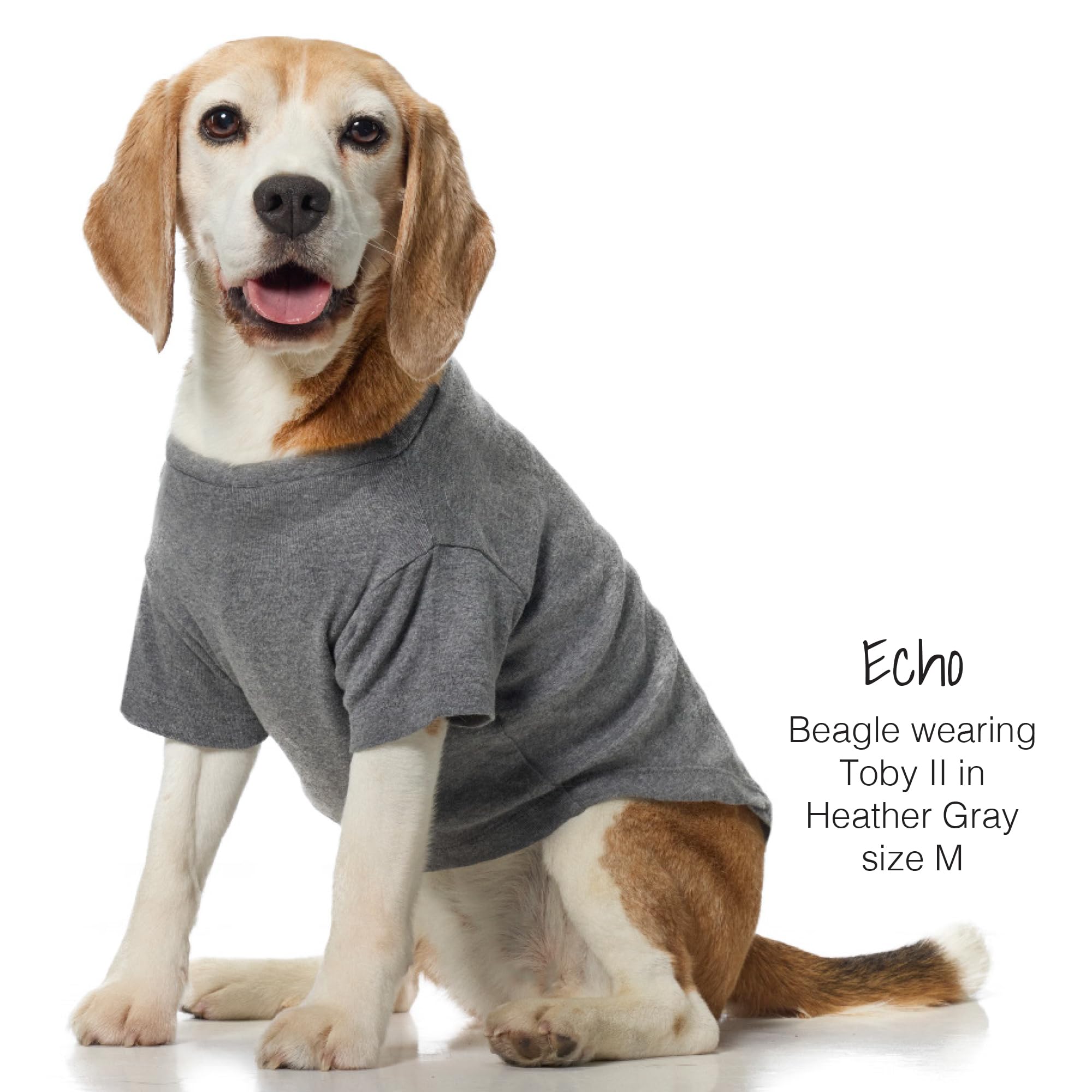 Pet Passion Toby II tee on dog demonstrating easy dressing with curved neck.