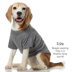 Pet Passion Toby II tee on dog demonstrating easy dressing with curved neck.