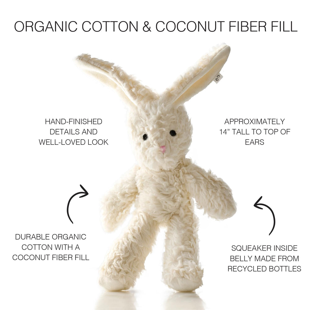 Pet Passion eco-friendly packaging and durable cotton toy design.