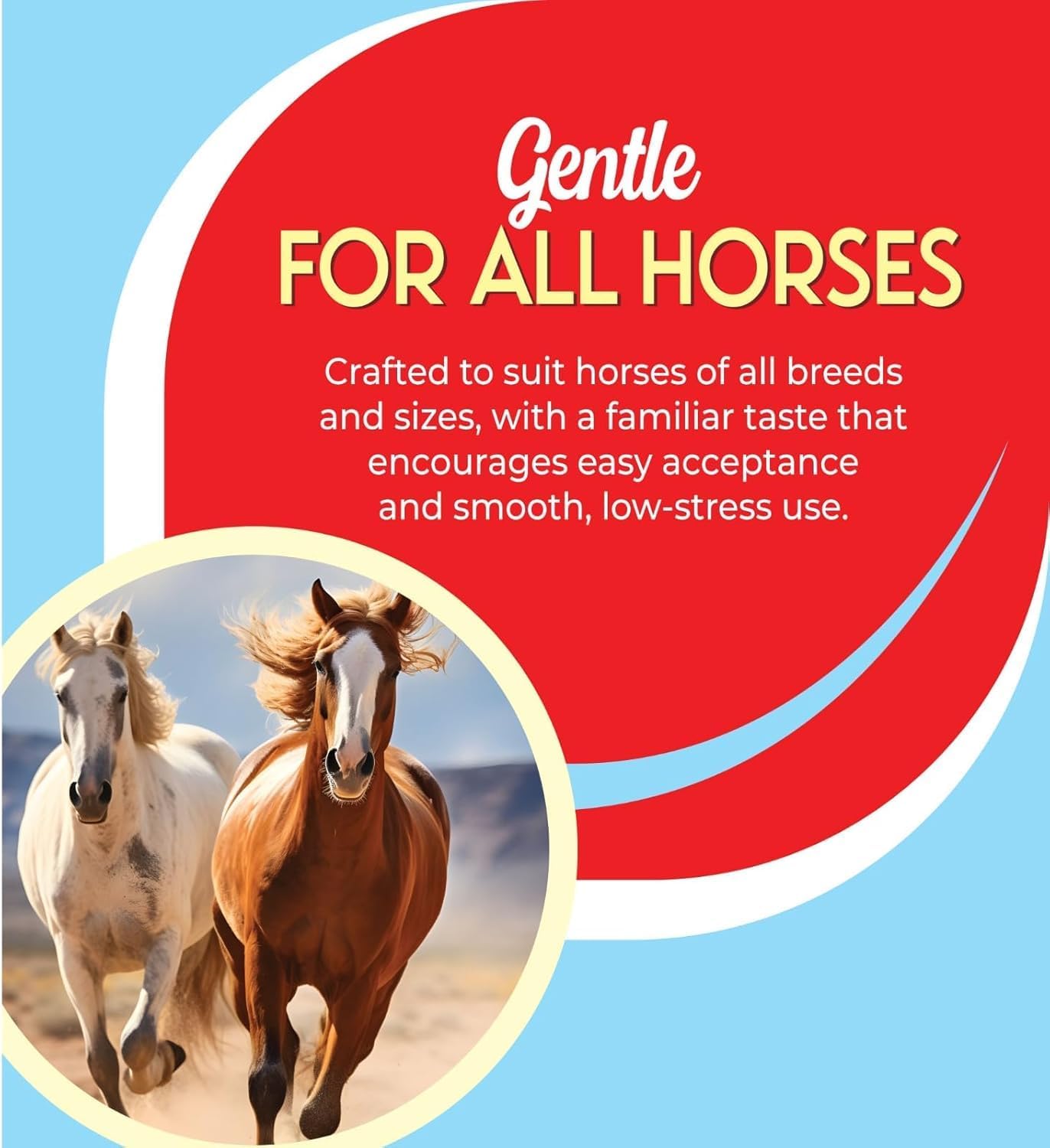 Pet Pharma calibrated syringe aids controlled administration of horse paste.