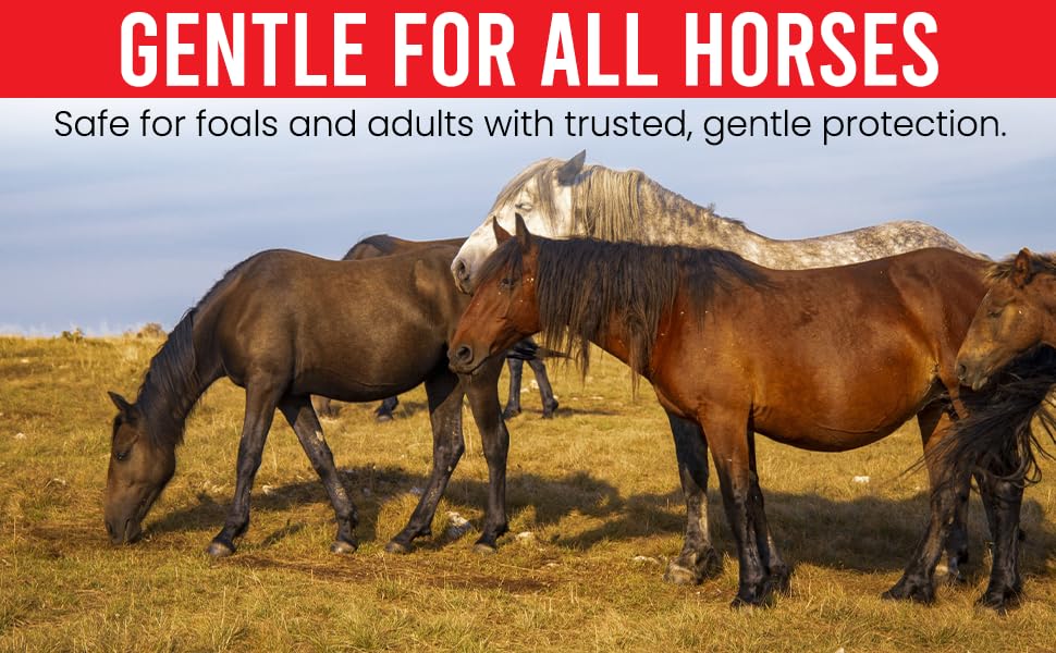 Pet Pharma equine-safe dewormer supports smooth dosing during care.