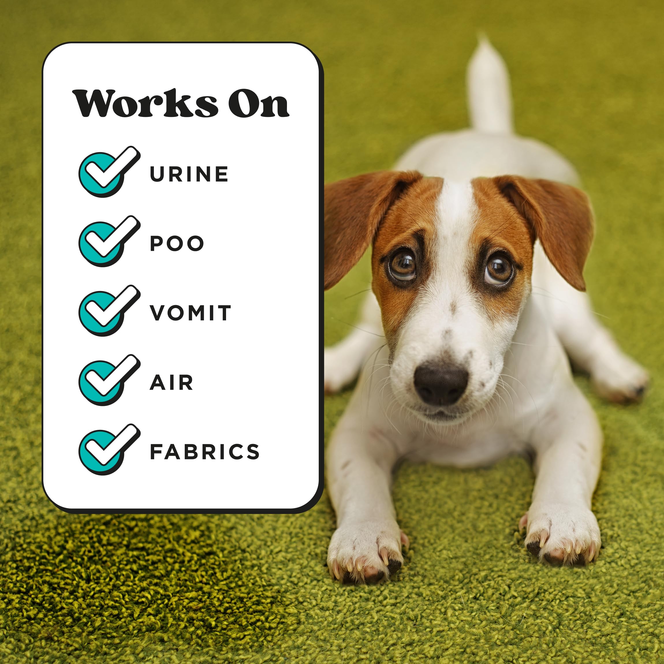 Pet-Pourri Pawsitively Fresh pet bedding spray neutralizes odors from bedding and carriers.