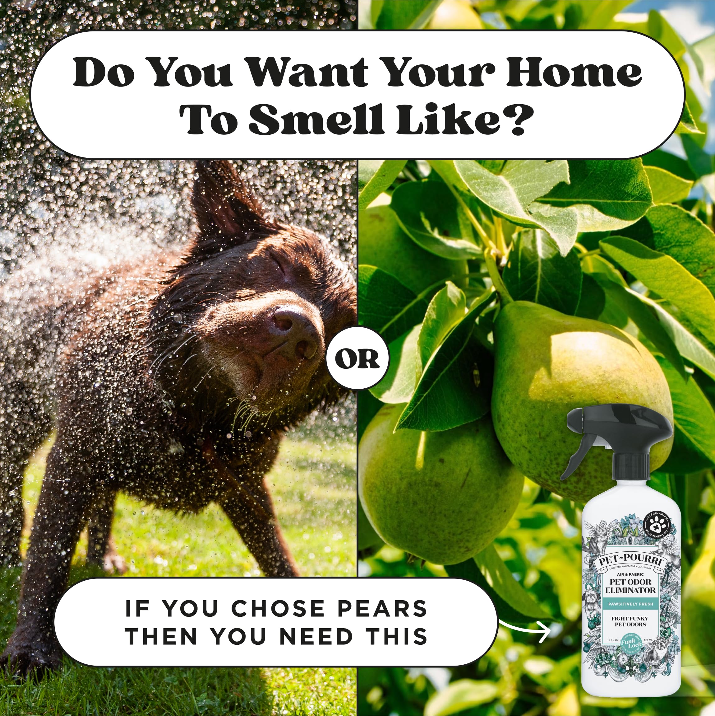 Pet-Pourri packaging shown as safe around pets in homes.