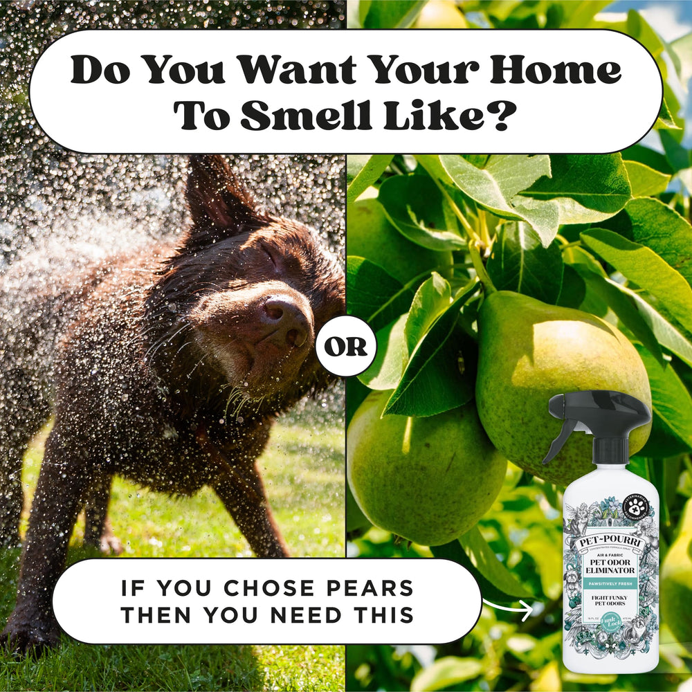 Pet-Pourri packaging shown as safe around pets in homes.