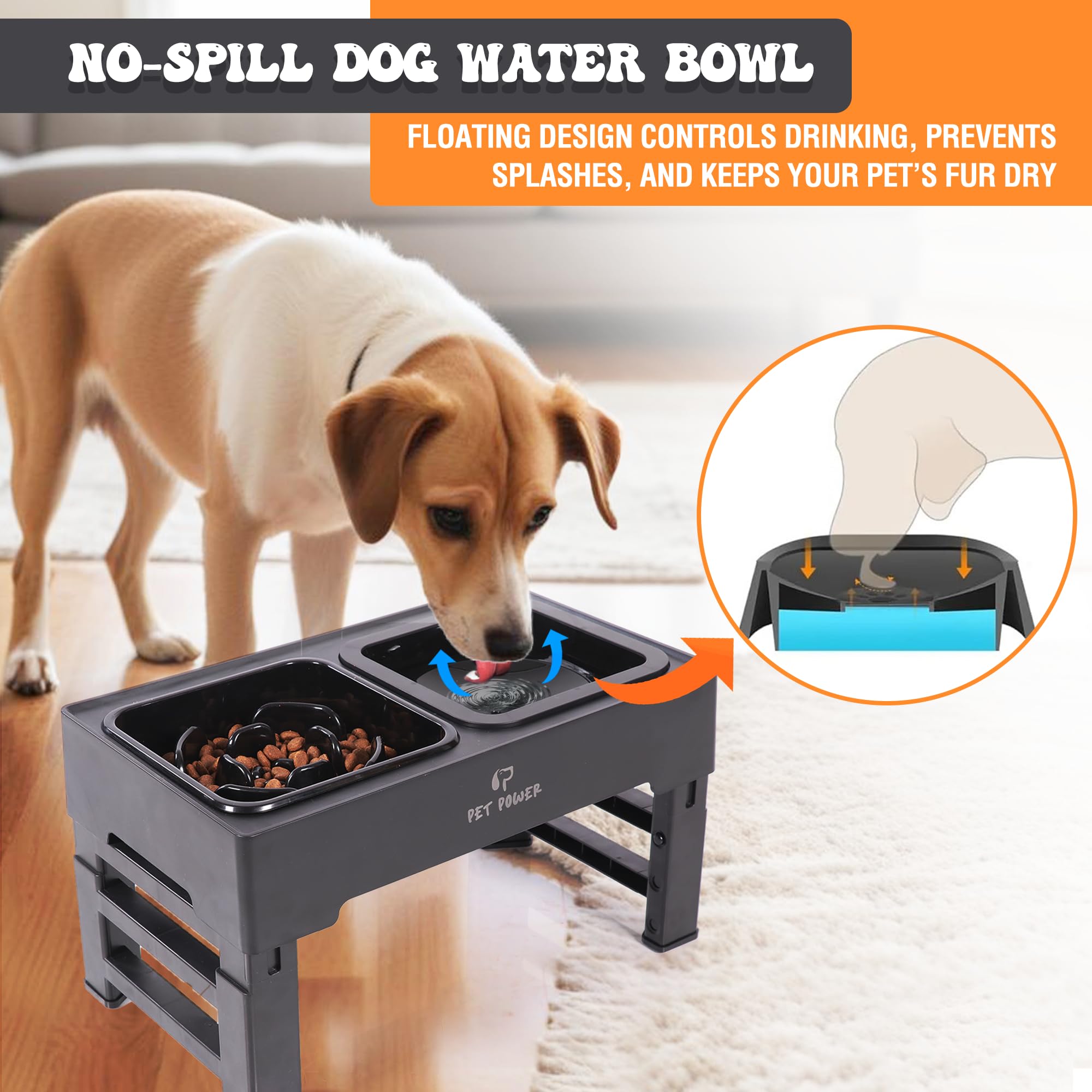 Pet Power ergonomic feeding posture reduces neck strain during meals.